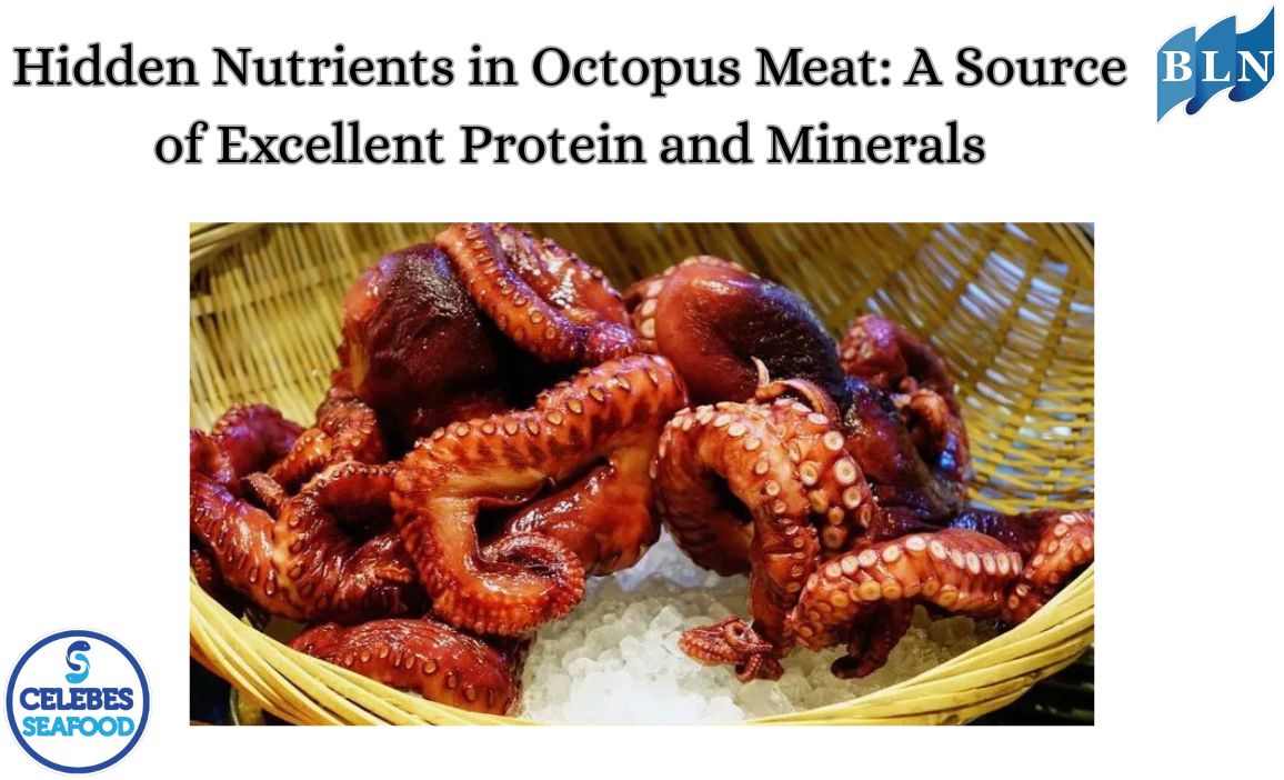 Hidden Nutrients in Octopus Meat: A Source of Excellent Protein and Minerals